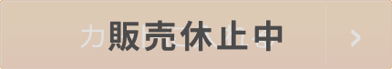 販売休止中