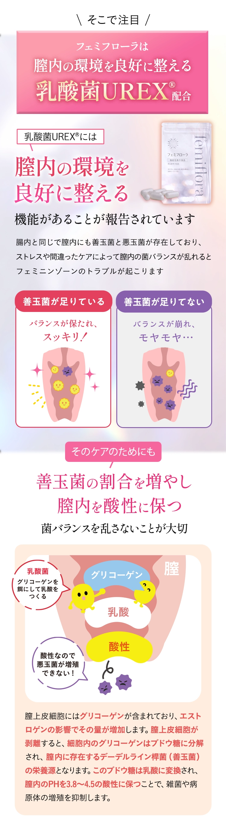 フェミフローラは膣内の環境を良好に整える乳酸菌UREX®を配合しています。腸内と同じで膣内にも善玉菌と悪玉菌が存在しており、
ストレスや間違ったケアによって膣内の菌バランスが乱れるとフェミニンゾーンのトラブルが起こります