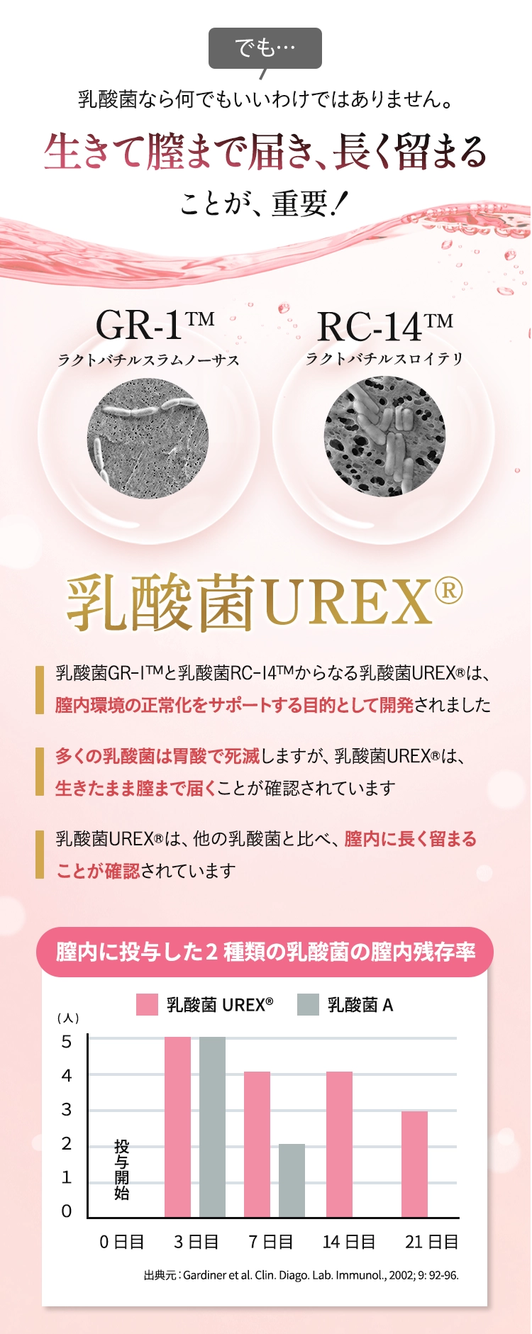 乳酸菌なら何でもいいわけではありません。生きて膣まで届き、長く留まることが重要！GR-1™（ラクトバチルスラムノーサス）・RC-14™（ラクトバチルスロイテリ）からなる乳酸菌UREX®は、膣内環境の正常化をサポートする目的として開発されました。多くの乳酸菌は胃酸で死滅しますが、乳酸菌UREX®は、生きたまま膣まで届くことが確認されています。乳酸菌UREX®は、他の乳酸菌と比べ、膣内に長く留まることが確認されています。