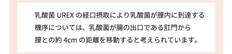 乳酸菌UREXの経口摂取により乳酸菌が膣内に到達する機序については、乳酸菌が腸の出口である肛門から膣との約4cmの距離を移動すると考えられています。