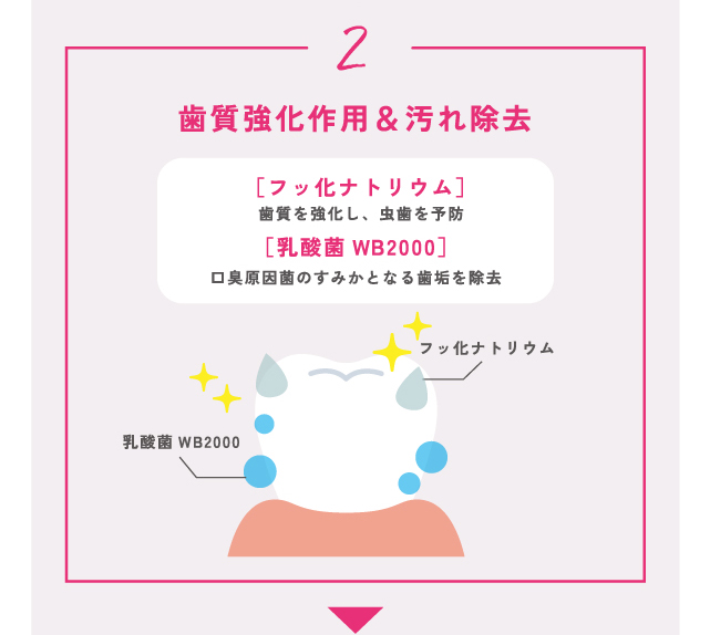 2.歯質強化作用＆汚れ除去